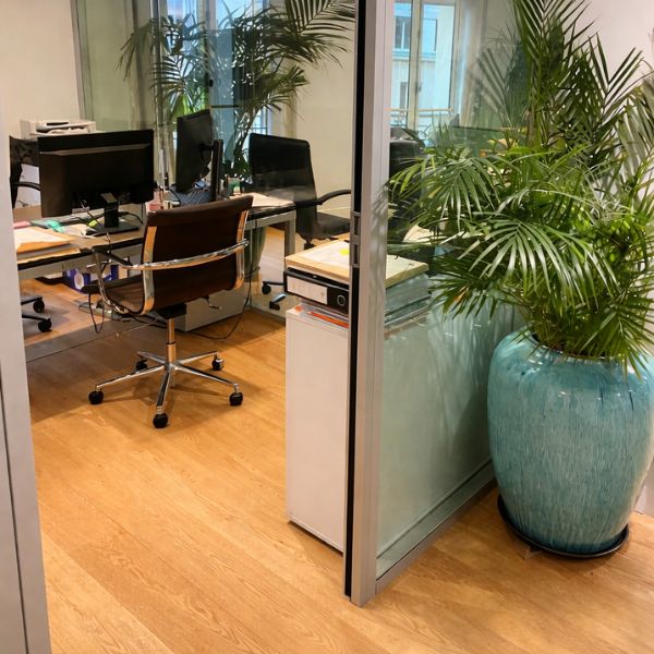 expert comptable paris 